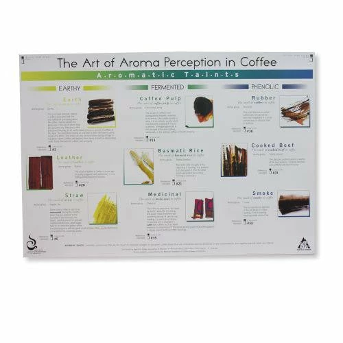 Art Of Aroma Taints Poster - SCAA 1 Art Of Aroma Taints Poster - SCAA